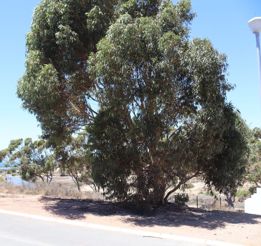 0 Bedroom Property for Sale in Britannica Heights Western Cape